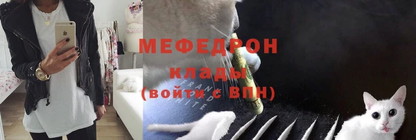 винт Ельня