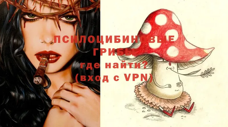 купить   Каргат  Псилоцибиновые грибы MAGIC MUSHROOMS 